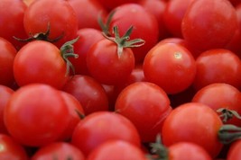 Large Red Cherry Tomato Seeds 100 Ct Vegetable HEIRLOOM NON-GMO - £1.54 GBP