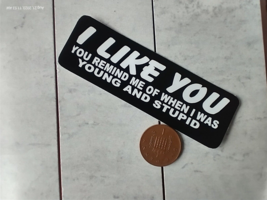 Small Hand made Decal Sticker I LIKE YOU REMIND ME WHEN I WAS DUMB &amp; STUPID - £4.68 GBP