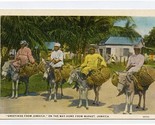On The Way Home From Market Postcard Greetings From Jamaica Women on Don... - $13.86