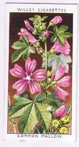 Wills Cigarette Card Wild Flowers #21 Common Mallow - £0.78 GBP