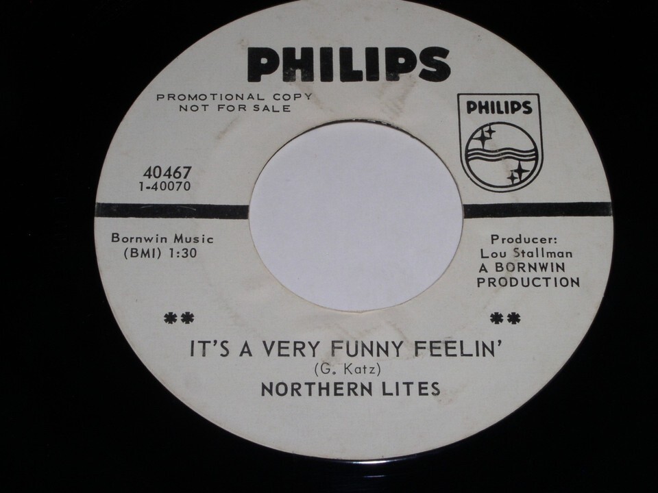 Northern Lites It&#39;s A Very Funny Feelin&#39; Enjoy Enjoy 45 Rpm Record PROMO VG - $9.99