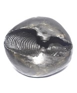 Rare Big Size Parshurama Shaligram - Gandaki River Nepal - $4,087.32 MXN