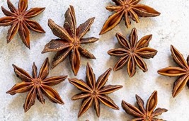 KKG Illicium Verum 20 Seeds Fragrant Star Anise Shrub Tree Badian Spice ... - $166.87 MXN