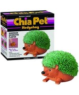 Chia CP438-01 Pet Hedgehog Seed Pack, Decorative Pottery Planter, Easy t... - $618.93 MXN