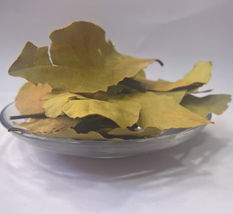 100 Gram Bay leaf ورق الغار غار - £27.95 GBP