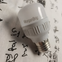 MorganBrig lamps-Live Brighter image 8