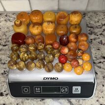 Amber Bead Lot Beautiful Round And Square: Butterscotch, Green, Red 1.5+... - $3,793.25