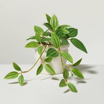 Hearth & Hand 8" Mini Faux Ivy Plant Paper Mache Beige Indoor Decor - €2,12 EUR Hearth & Hand 8" Mini Faux Ivy Plant Paper Mache Beige Indoor Decor - €2,12 EUR