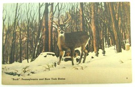 Pennsylvania &amp; New York States &quot;Buck&quot; Tichner Brothers 78350 Deer Snow L... - £5.58 GBP