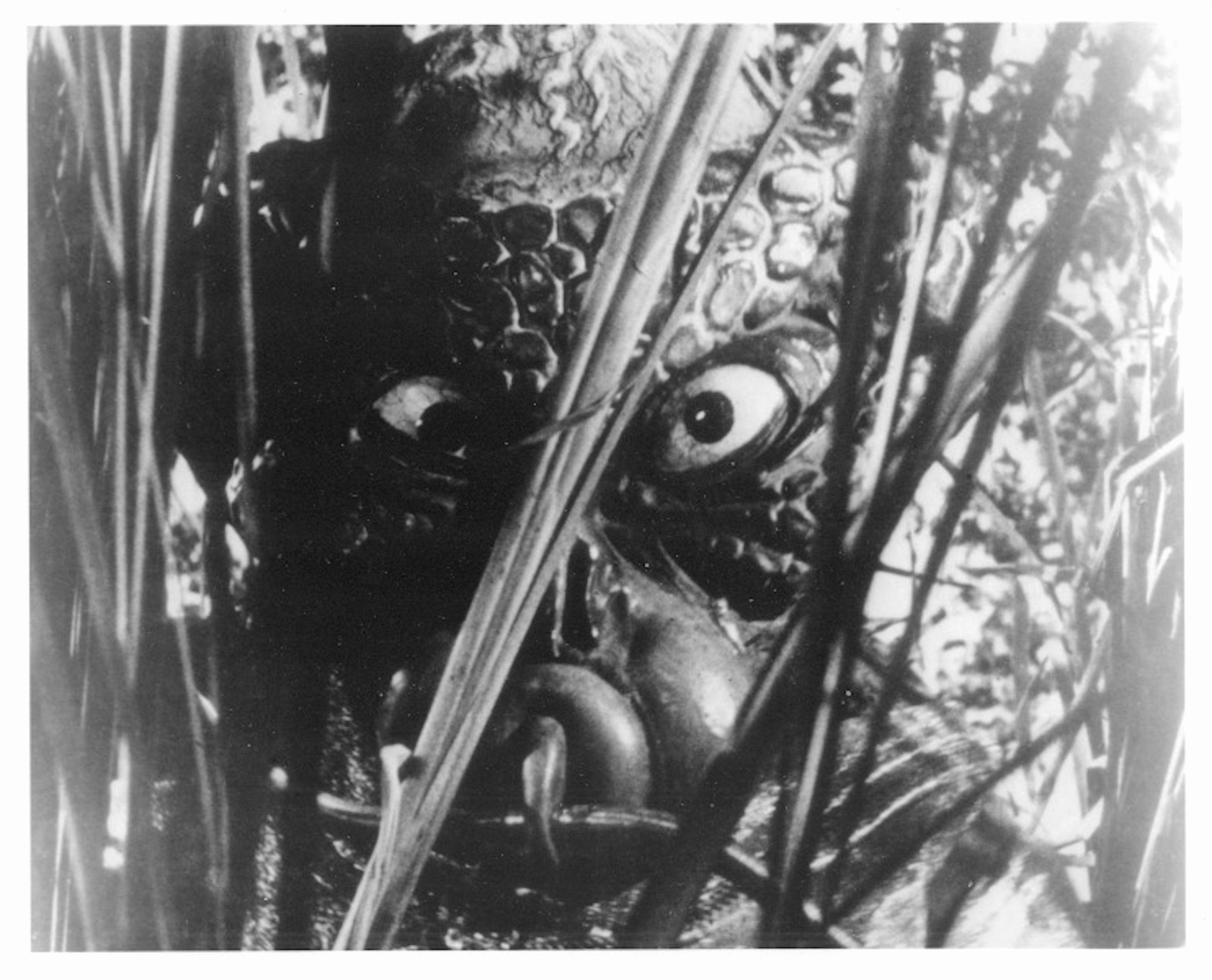1963’s THE OUTER LIMITS: ARCHITECTS OF FEAR fake alien b/w 8x10 underbru... - $6.99