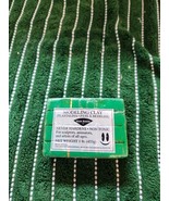 Van Aken Plastalina Modeling Clay Green 1Lb - $23.13 CAD