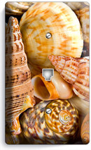 SEA SHELLS BEACH OCEAN PHONE TELEPHONE COVER PLATE BATHROOM LAUNDRY ROOM... - £9.47 GBP