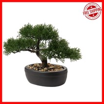 Elegant Mini Bonsai Tree with Ceramic Base - Perfect for All Seasons and... - $957.30 MXN