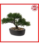 Elegant Mini Bonsai Tree with Ceramic Base - Perfect for All Seasons and... - $938.81 MXN