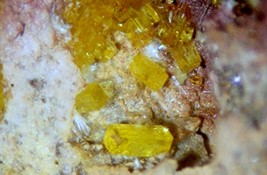 PARAURANOPHANE (Betauranophane) - Margaritas Mine, Chihuhua, MEXICO - €141,75 EUR PARAURANOPHANE (Betauranophane) - Margaritas Mine, Chihuhua, MEXICO - €141,75 EUR