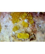 PARAURANOPHANE (Betauranophane) - Margaritas Mine, Chihuhua, MEXICO - $3,062.65 MXN