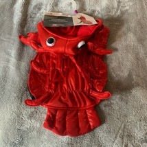 Size Medium Celebrate Lobster Halloween Costume for Pet Halloween New - £12.86 GBP