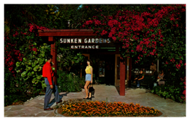 Vintage Sunken Gardens Entrance St Petersburg Florida Postcard Unposted - £3.82 GBP