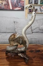 King Cobra &amp; Mongoose Fighting Taxidermy Standing Mounted Hunting Snake - £665.78 GBP