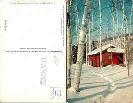New York(NY) Adirondack Mountains Home Among Birch Trees Snowy Vintage Postcard - £7.50 GBP