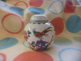 Stunning Famille Rose Chinese Ginger Jar Zhongguo Jingdezhen Zhi Bird In Flora - £9.89 GBP