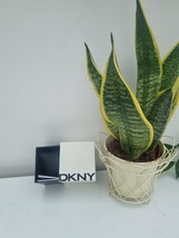 DKNY White Compact Watch Presentation Storage Box - £9.00 GBP