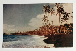 Kalapana Beach Black Volcanic Sand Palm Tree Hawaii HI Wesco Postcard c1940s C55 - £6.36 GBP
