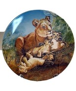 Lion and cubs collector plate  &#39;A Watchful Eye&#39; 1981 - £23.68 GBP