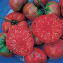 Giant Belgium Pink Tomato Seeds 50 Ct Vegetable - $8.98