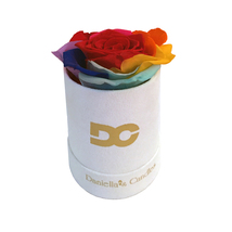 Single Preserved Rainbow Rose, Long Lasting, Suede White Box, Perfect Gift Idea - £13.40 GBP