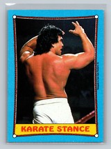 Karate Stance #43 1987 Topps WWF Ricky The Dragon Steamboat - £1.59 GBP