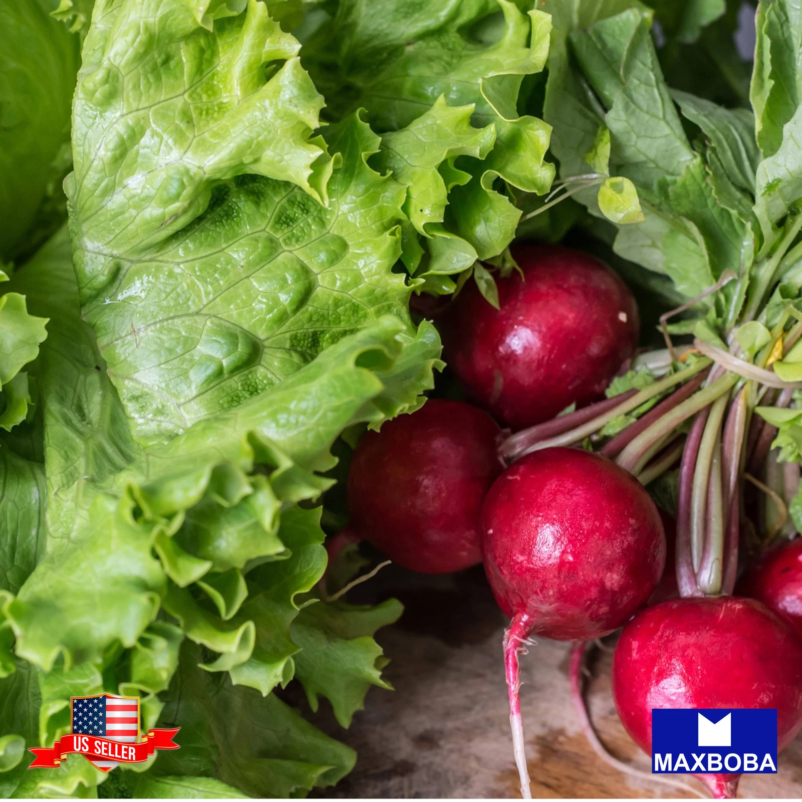 400+ Radish Seeds - Cherry Belle Non-GMO, Heirloom BOGO 50% OFF - $4.63