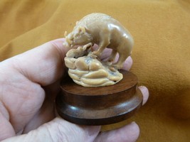(TB-WART-6) tan wild Warthog wart hog tagua nut figurine Bali detailed c... - $46.98