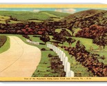 Strada Lungo Conor Creek Altoona Pennsylvania Pa Lino Cartolina Y13 - £2.64 GBP