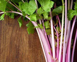 200 Seeds Chinese Pink Celery Rose Celery From USA - £7.63 GBP