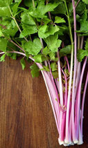 200 Seeds Chinese Pink Celery Rose Celery From USA - £7.72 GBP