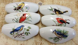Ceramic Cabinet Drawer Pull 6 domestic birds  (6) - £40.19 GBP