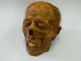 Halloween Horror Movie Prop Human Corpse Skull Head&quot; The Sleeper&quot; - £92.71 GBP