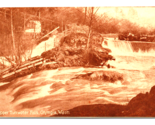 Upper Tumwater Falls Olympia Washington WA UNP Sepia DB Postcard Q7 - $9.85