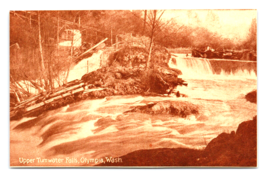 Upper Tumwater Falls Olympia Washington WA UNP Sepia DB Postcard Q7 - £7.70 GBP