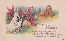 Easter Greetings Child Watches the Bunny Rabbits Postcard E12 - $2.99