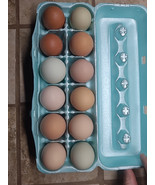 12 Rainbow Barnyard Mix Hatching Eggs - £18.47 GBP