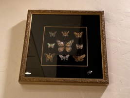 Vintage Butterfly Pin Brooches Jewelry Art Gold Frame Wall Hanging - £155.06 GBP