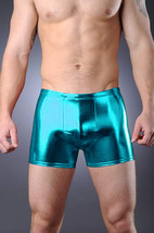 Thunderbox Chrome Metal Turquise Pouch Shorts Party Costume Dance S, M, ... - £23.98 GBP