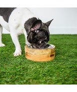 GF PET Mango Wood Dog Bowl - $411.95 MXN+