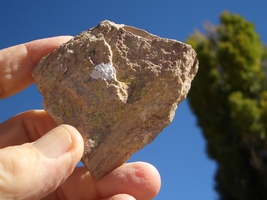 Jtl: Jurassic Todilto Limestone Uranium Rock 30k 4.3 Oz. $22.00 +$9.50 s/h - £17.64 GBP