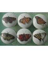 Cabinet Knobs Butterflies Butterfly #8 @Pretty@ (6) Insect - £24.92 GBP