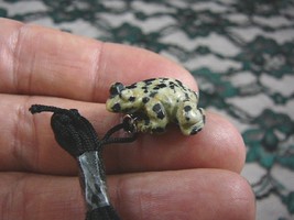 (an-frog-5) FROG spotted black white carving Pendant NECKLACE FIGURINE g... - £6.15 GBP