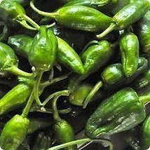 10 Famous Spanish Heirloom Padron Pepper Seeds - $10.10