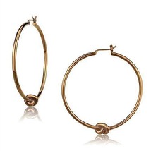 TK2853 - IP Coffee light Stainless Steel Earrings with No Stone - $41.49